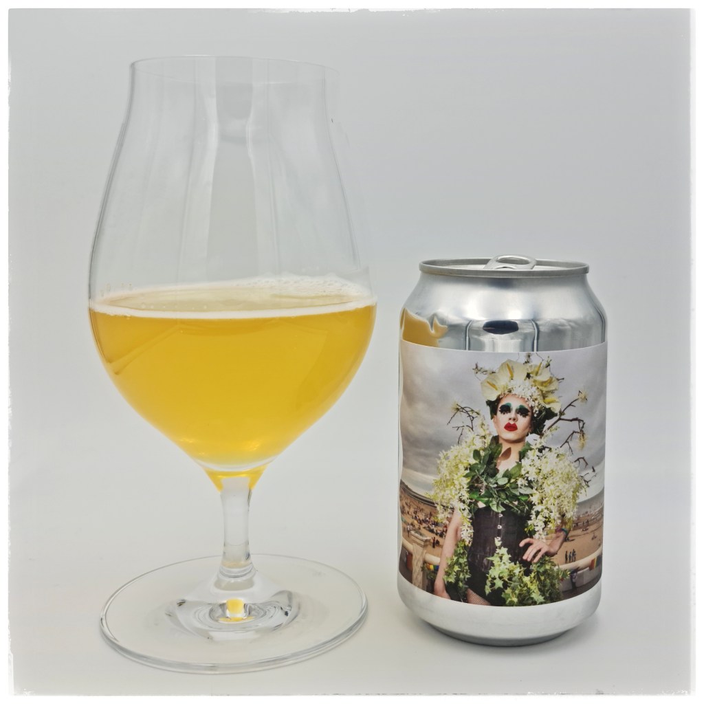 Türchen 12: Stroom Brouwers American Wheat Forel